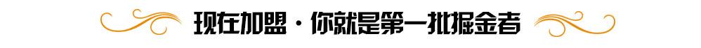 加盟霍尔 你就是第一批掘金者