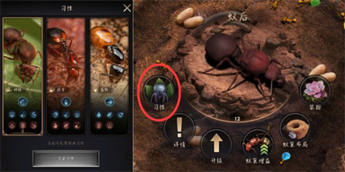 小小蚁国国际服