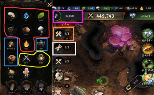 小小蚁国国际服