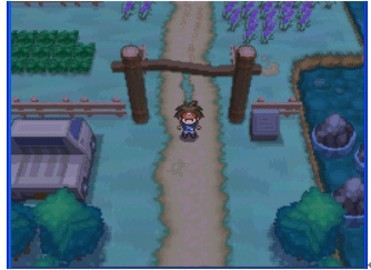 口袋妖怪黑白2下载