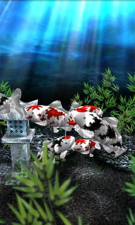 水族馆动态壁纸