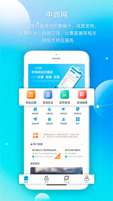 中鸽网
