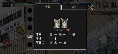 流浪猫的故事
