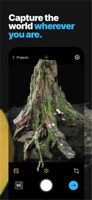 RealityScan app