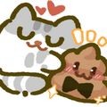 猫屋猫屎香