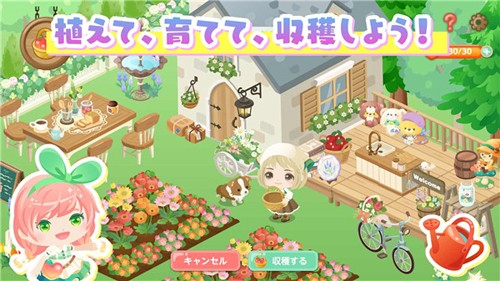 城市中的可爱花园最新版