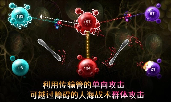 繁殖战争2手机安卓版