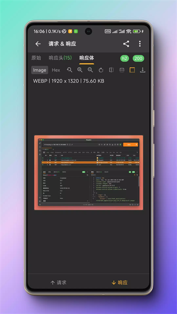 黄鸟抓包app最新版