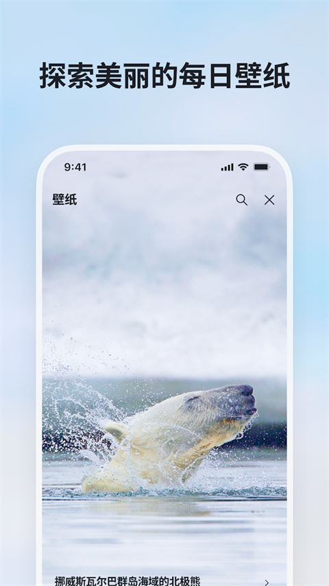 微软必应app官方版