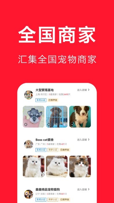 宠物宝