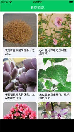 养花大亨手游