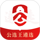 公选王遴选