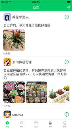 养花大亨手游