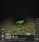 从细胞到奇点进化永无止境官方正版