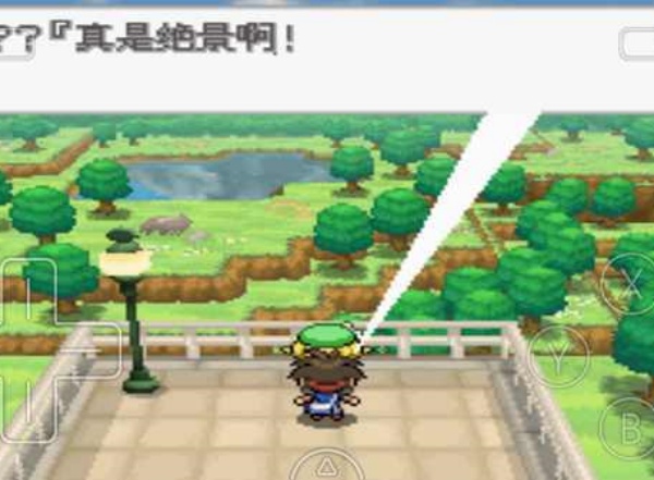 口袋妖怪黑白中文版