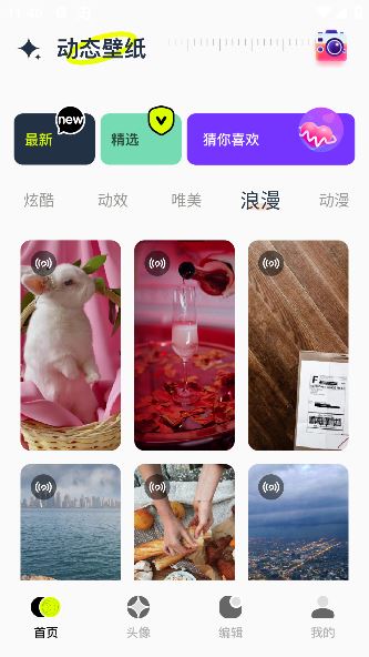 桌面壁纸精灵app官方版下载