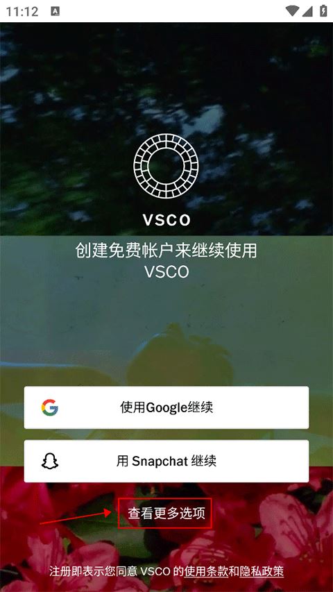 Vsco