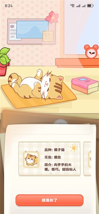 桌面喵app下载官方正版 桌面喵app下载官方正版