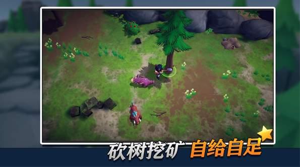 相关图片