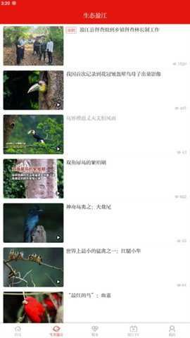 相关图片