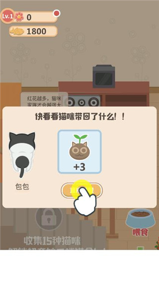 奇妙猫之家图片7
