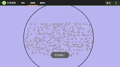 /ueditor/image/20260621/1782032761988190/2cc054efe504671536954e686b7701d3.jpg 细胞实验室-1.jpg