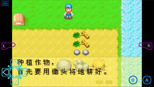 牧场物语矿石镇的伙伴们安卓版