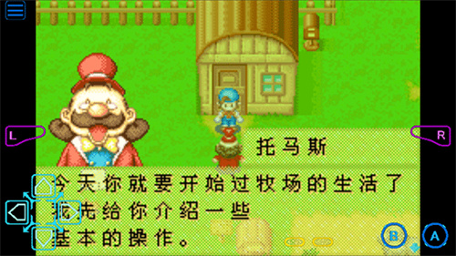 牧场物语矿石镇的伙伴们安卓版